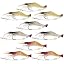 Goture Soft Shrimp Lures Fishing Saltwater Luminous Shrimp Bait Set