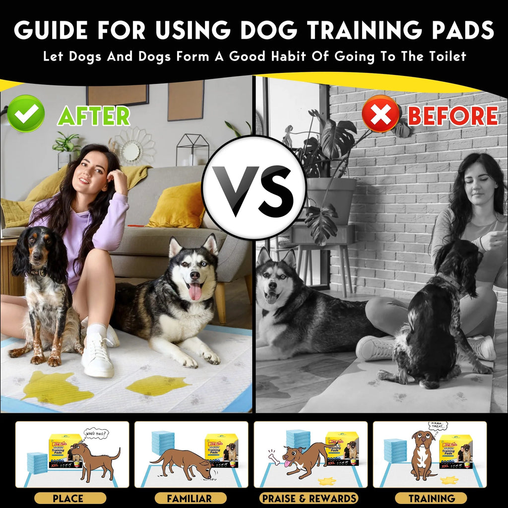 Dog Training Pads, XXL, 30 in X 36 In, 60 Count Disposable Dog Puppy Pee Pads