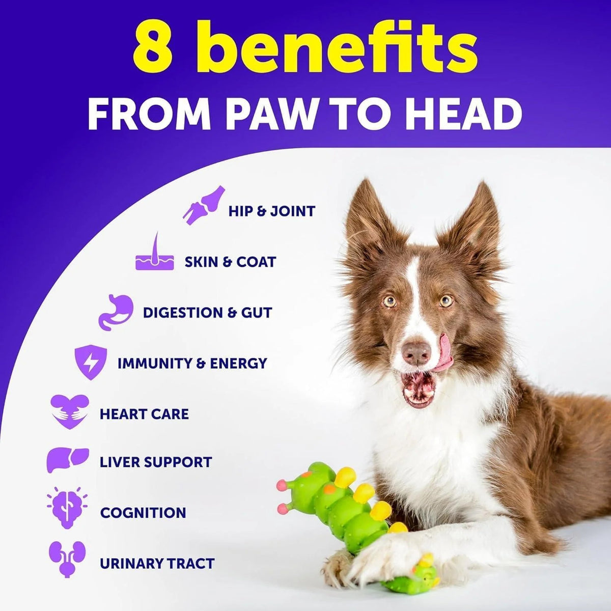 20-in-1 Dog Multivitamin Chewable Treats with Glucosamine & Omega-3
